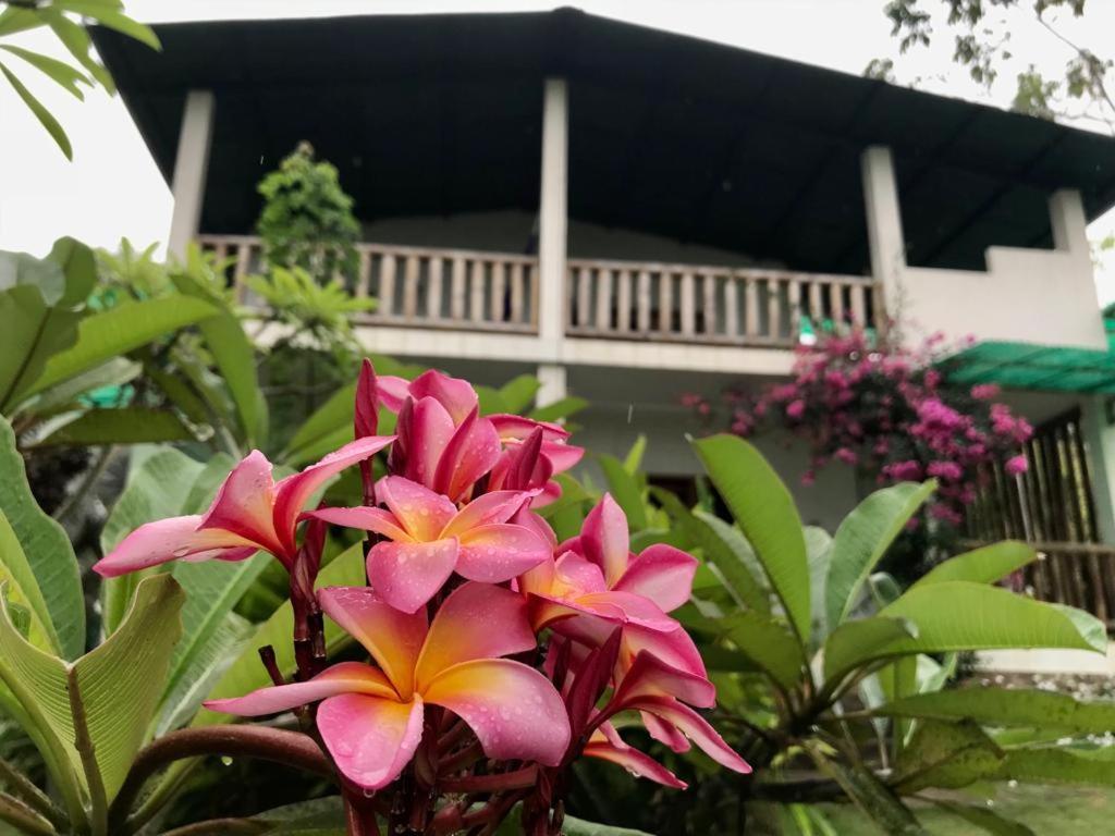 Hotel Quinta El Mamey Río Verde Zewnętrze zdjęcie